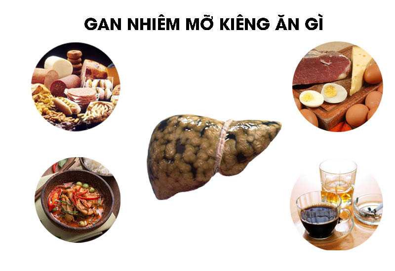 Tầm quan trọng của nội soi trong chẩn đoán và điều trị bệnh lý dạ dày
