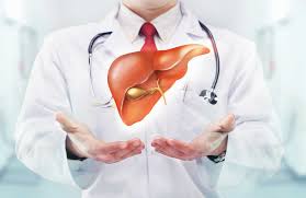 Chức năng gan – tấm lá chắn cần được quan tâm