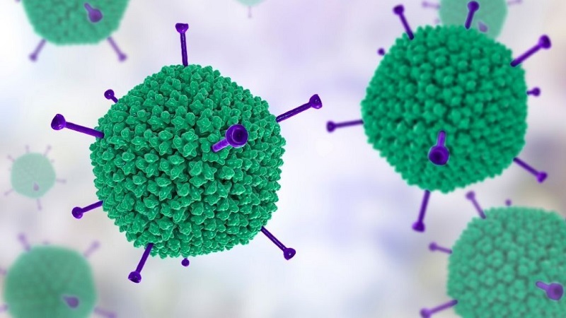 Adenovirus là gì và vì sao cần xét nghiệm sớm?
