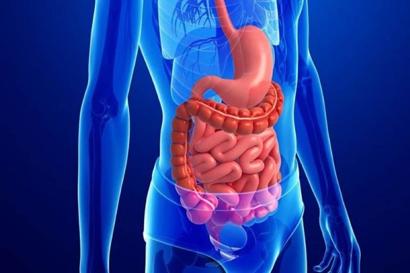 Vì sao nên tầm soát ung thư đường tiêu hóa tại Medlatec?