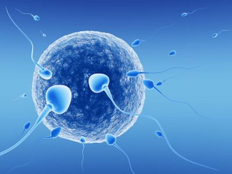 Thụ tinh trong ống nghiệm (IVF) là gì?