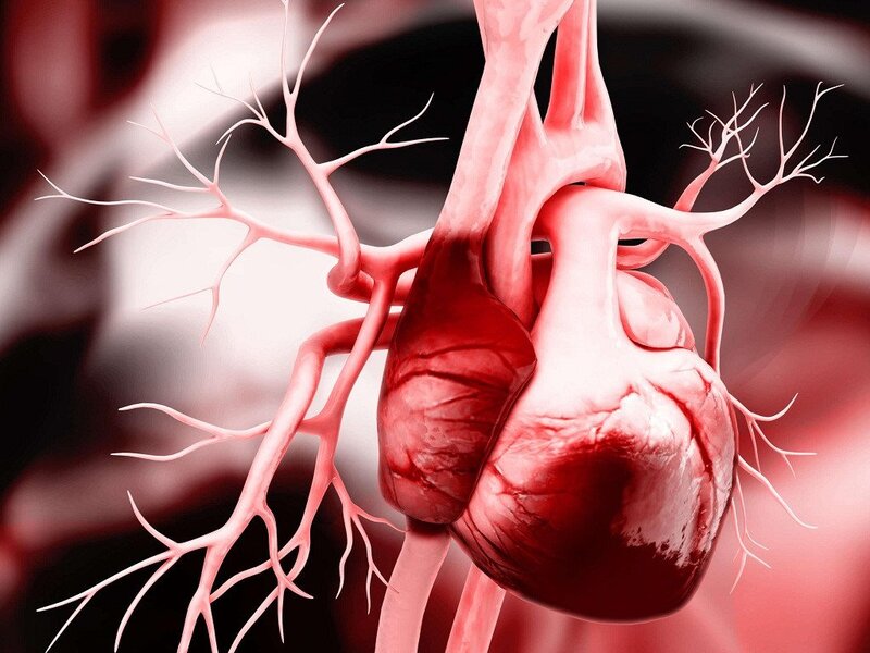 Tầm quan trọng của nội soi trong chẩn đoán và điều trị bệnh lý dạ dày