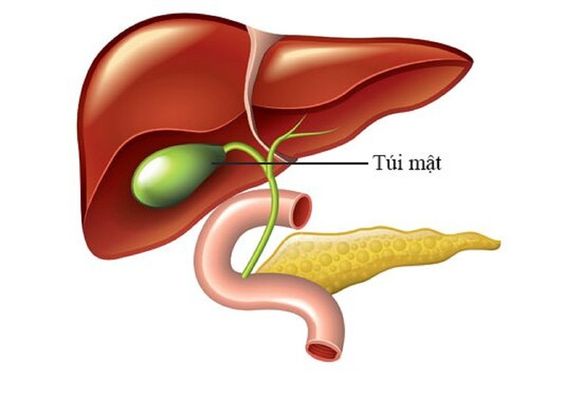 Nguyên nhân ảnh hưởng đến sức khỏe gan mật tụy