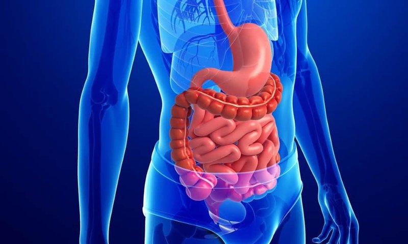 Tầm quan trọng của nội soi trong chẩn đoán và điều trị bệnh lý dạ dày
