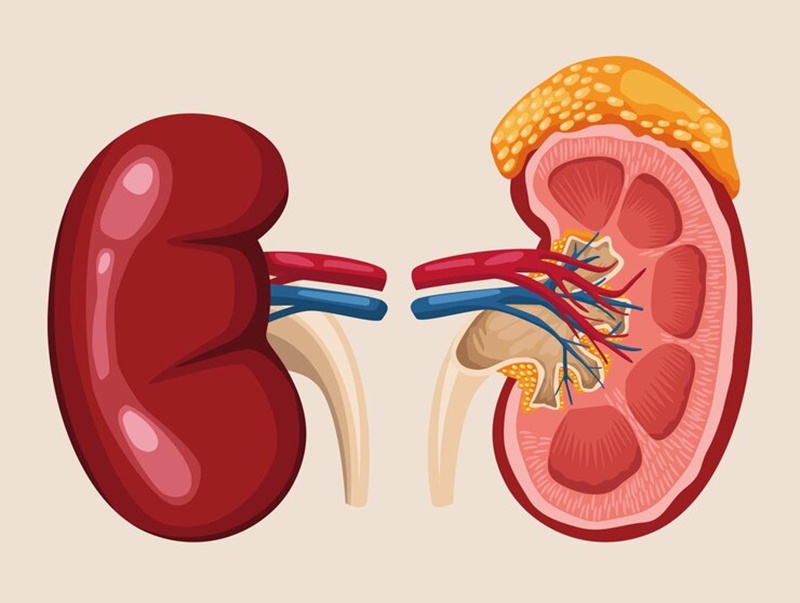 Tầm quan trọng của nội soi trong chẩn đoán và điều trị bệnh lý dạ dày