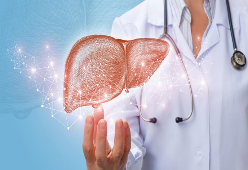 Xét nghiệm chức năng gan thận là gì?