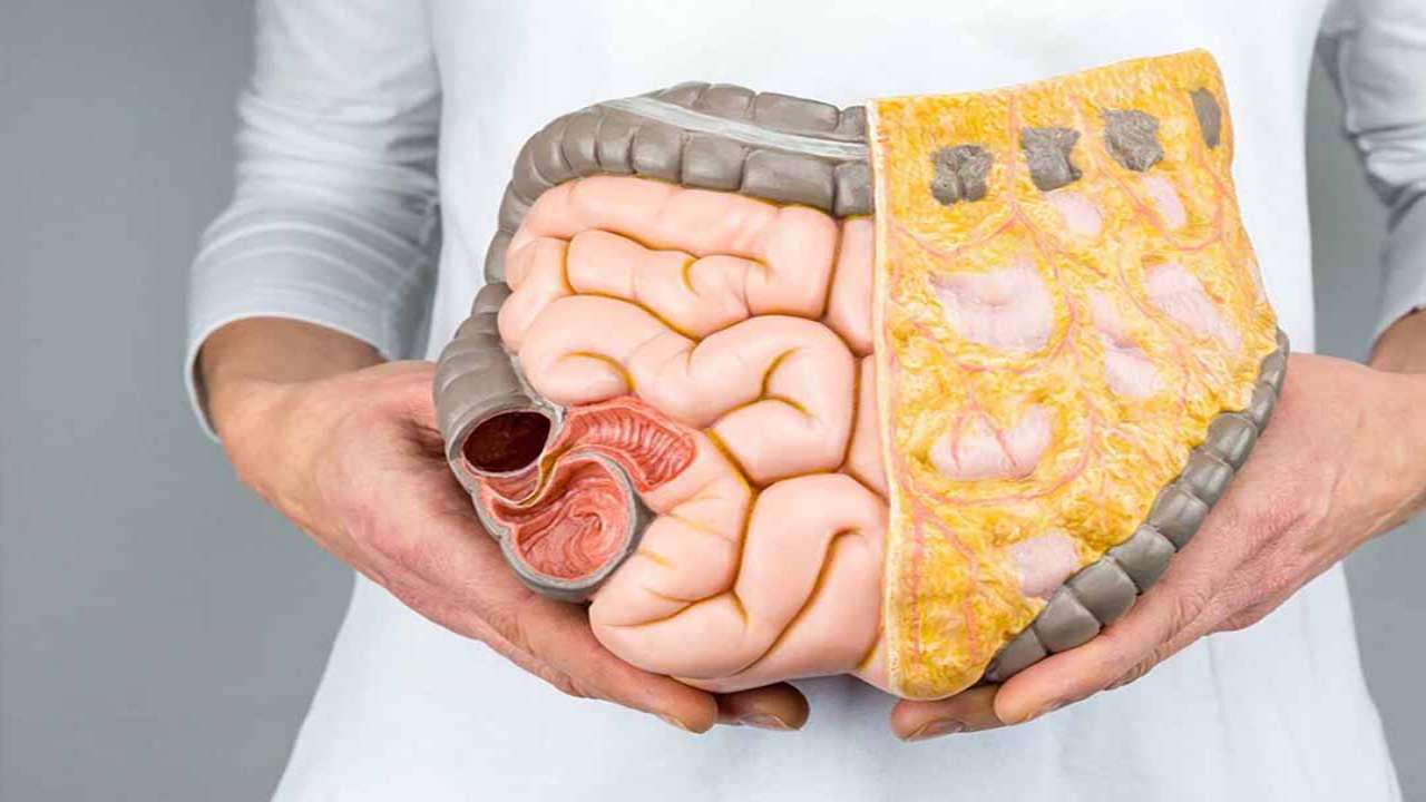 Mối li&ecirc;n hệ giữa chế độ ăn v&agrave; hệ ti&ecirc;u h&oacute;a