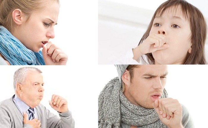 Tổng quan về hệ h&ocirc; hấp tr&ecirc;n