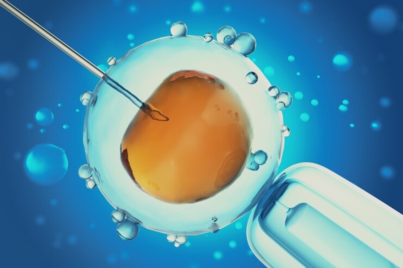 IVF Hồng Ngọc: Phân Tích Chuyên Sâu Các Phác Đồ Điều Trị Vô Sinh
