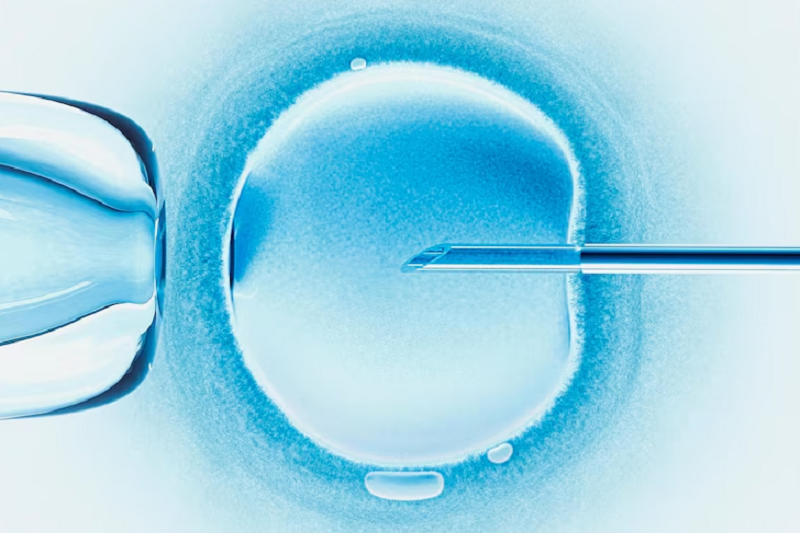 Trải Nghiệm IVF Hồng Ngọc: Quy Trình, Chi Phí, Tỷ Lệ Thành Công