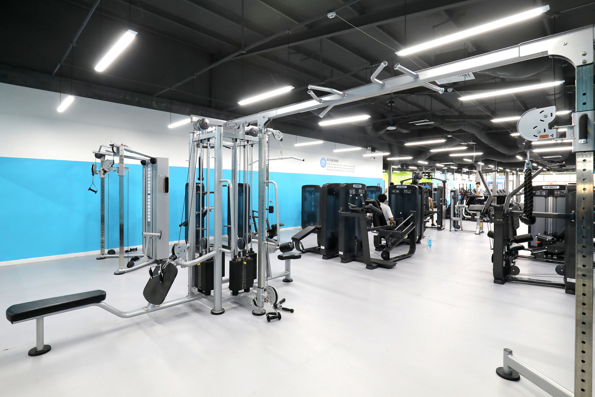 Đặt khám The New Gym