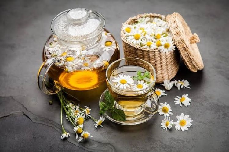Uống trà hoa cúc có bị mất ngủ không? Lợi ích, cách uống đúng và những lưu ý cần biết