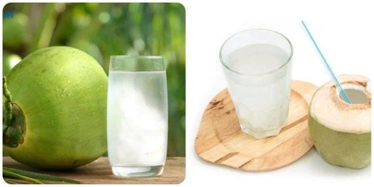 Uống nước dừa mỗi ngày có tốt không? Chuyên gia giải đáp lợi ích và những lưu ý quan trọng