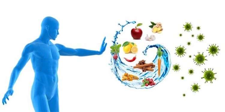 Hướng dẫn chọn thực phẩm tăng cường hệ miễn dịch