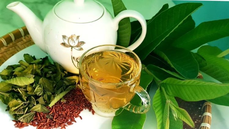 Lá ổi có tác dụng gì? 5 lợi ích nổi bật đối với sức khỏe