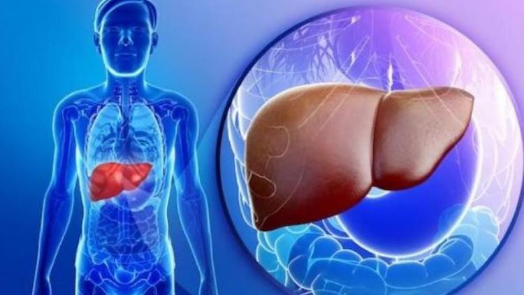 Mách bạn những cách hỗ trợ giải độc gan tại nhà hiệu quả