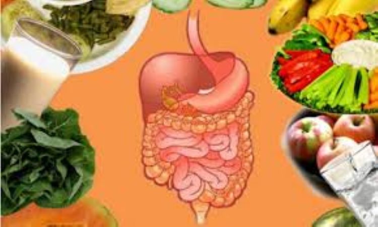 Những món ăn tốt cho đường ruột nên có trong thực đơn mỗi ngày