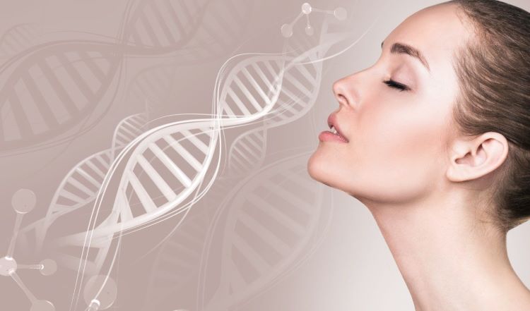 5 thực phẩm giàu collagen giúp da căng mịn, tốt cho xương khớp