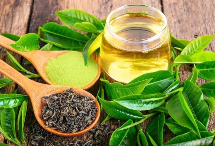 Uống trà xanh thường xuyên có thể ảnh hưởng đến khả năng hấp thụ sắt?