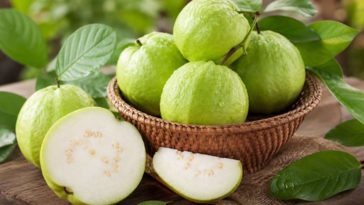 Quả Ổi Có Vitamin Gì? Những Lợi Ích Tuyệt Vời Của Ổi Đối Với Sức Khỏe