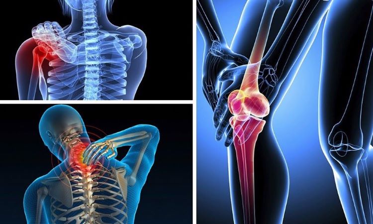 7 thói quen hằng ngày giúp bảo vệ xương khớp khi bạn phải ngồi nhiều