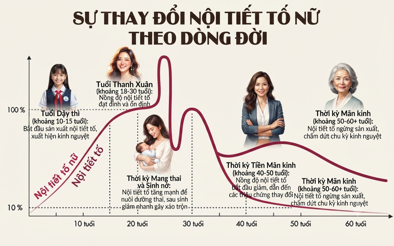 Khi nào cần xét nghiệm nội tiết tố nữ? Các chỉ số quan trọng và ý nghĩa từng xét nghiệm