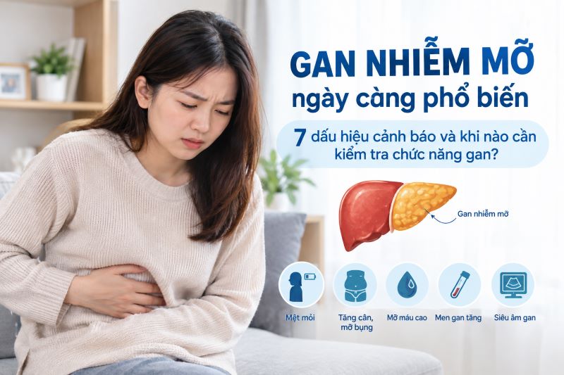 Gan nhiễm mỡ ngày càng phổ biến: 7 dấu hiệu cảnh báo và khi nào cần kiểm tra chức năng gan? 