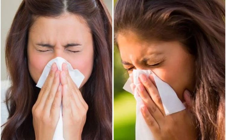 Giao mùa hắt hơi, nghẹt mũi liên tục: Có thể bạn đang bị viêm mũi dị ứng